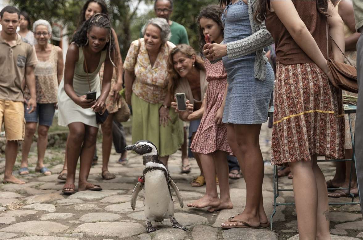 映画「RIO」レパートリー 2024年8月23日から2024年8月29日まで