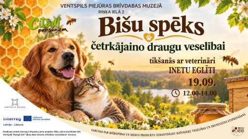 Suns un kaķis pie bišu stropa Ventspils muzejā.