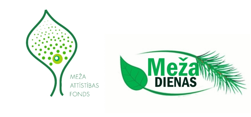 Logo meza dienas